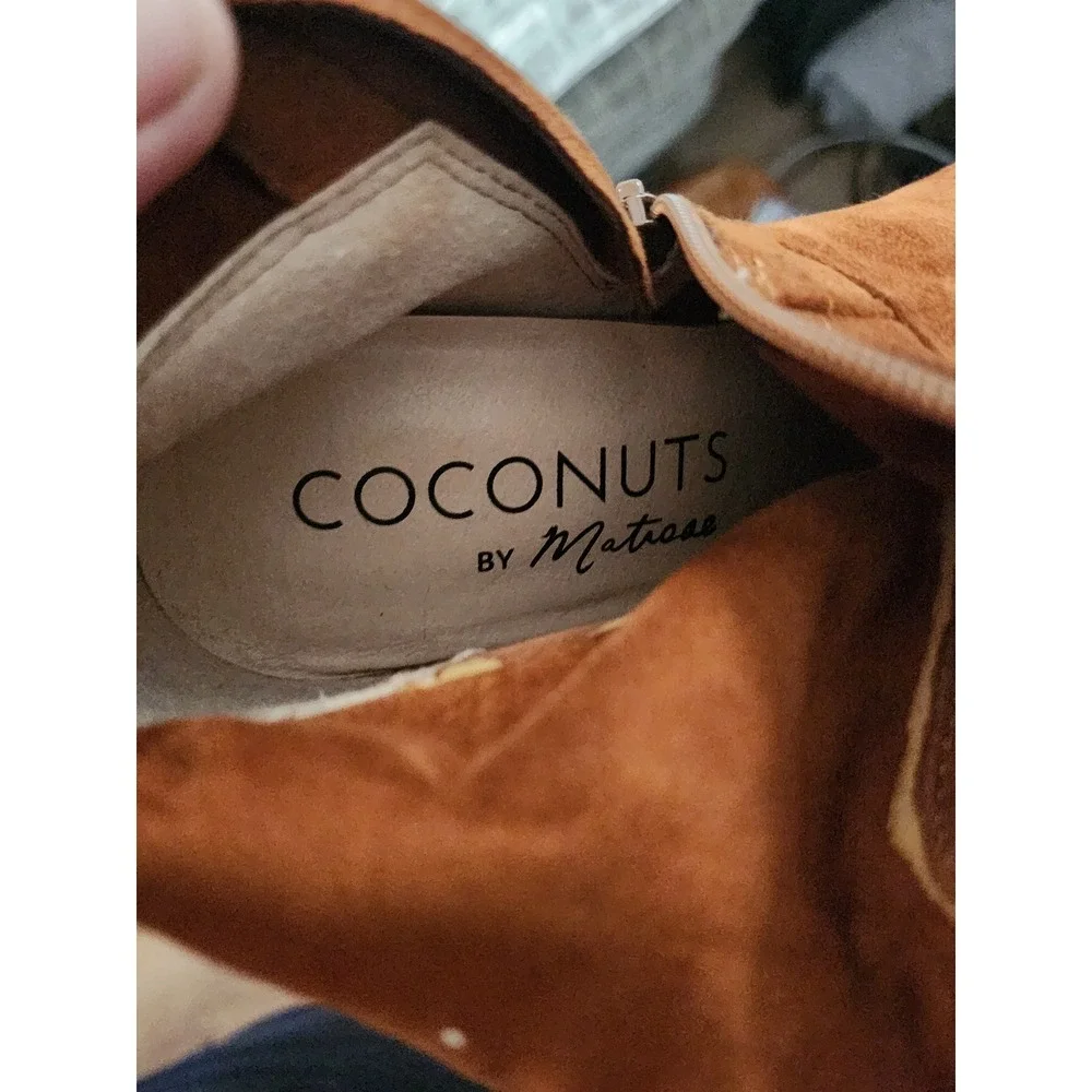 Coconuts by Matisse coconuts by